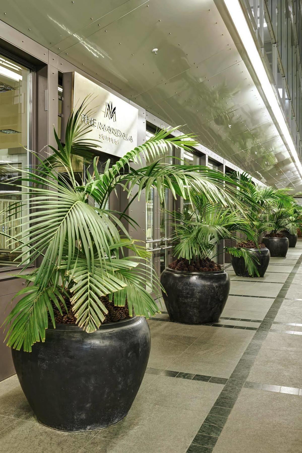 The Mandala Hotel 4*