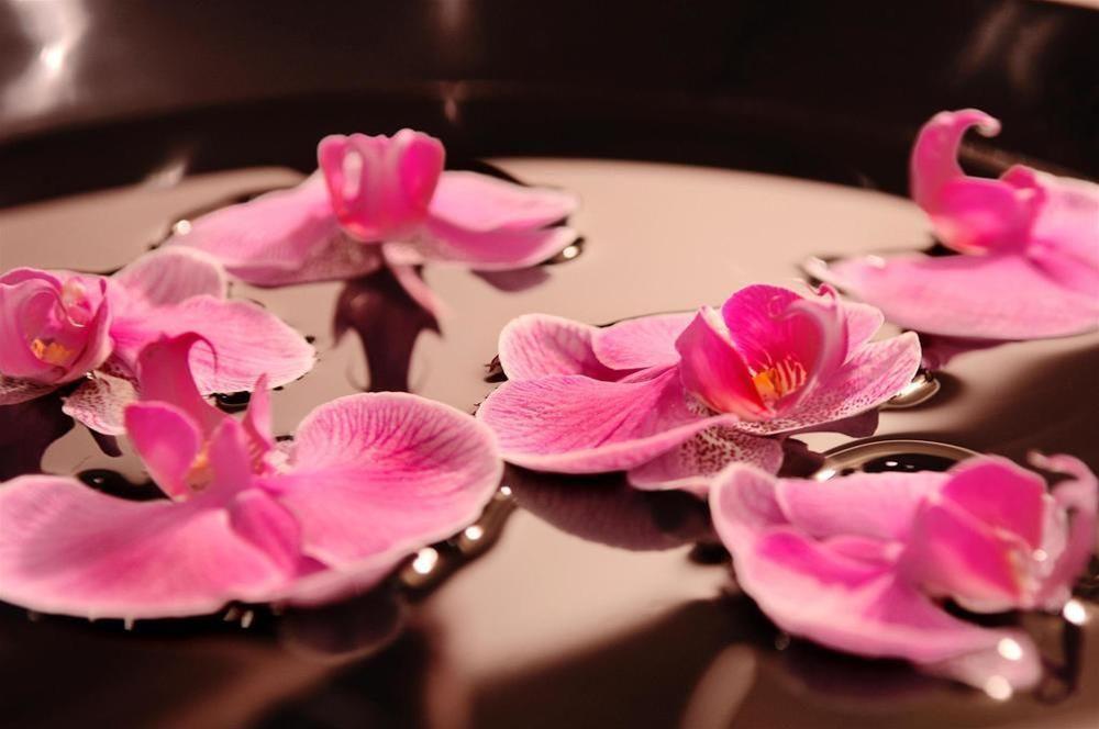 The Mandala Hotel 4*